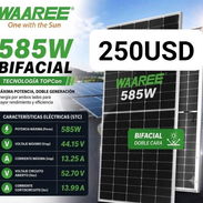 Panel Bifacial WAAREE 585W - Img 56098821