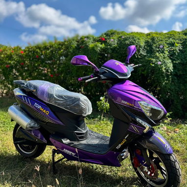 Moto electrica TOPMAQ AGUILA - 5/6