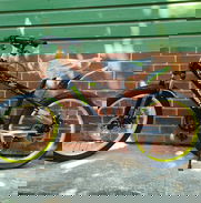 Bicicleta 20 ....hermosos colores - Img 48935294