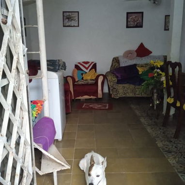 Venta de Casa de Dos Cuartos y Placa Libre en Centro Habana - 2/6