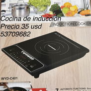 Wynwood cocina de inducción de 2000 watts - Img 57150794