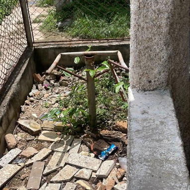 Casa bi planta baja en buena vista de 2 cuartos - Img 124847212