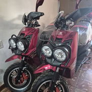 *Topmaq modelo Avispon* 180cc - Img 56504901