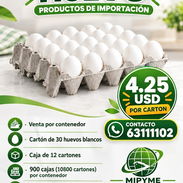 Huevo de importación venta por contenedor - Img 57801662