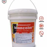 Pintura Impermeabilizante Transitable - Img 54908898