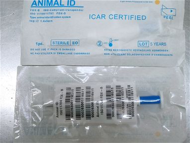 Microchip para perros y gatos. - Img main-image-45410309