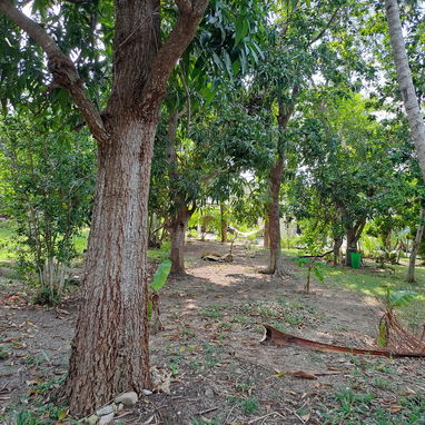 CASA FINCA EN VENTA - 9/10