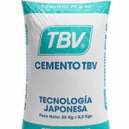 Cemento cola y blanco y veis gris y cemento TBV P350 - Img 56953242