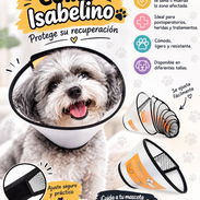 Collar isabelino - Img 58192872