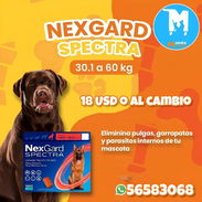 Nexgard Spectra de 30.1 a 60kg - Img 56213918