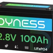 Batería LiFePO4 Dyness AR1.2 de 12 V y 100 Ah con protección contra baja temperatura - Img 57016238