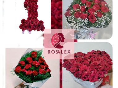 Ramos, flores y rosas - Img 66516019