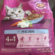 Pienso Whiskas y Félix para GATOS - Img 58267538
