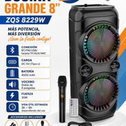 Bocina grande - Img 56883019