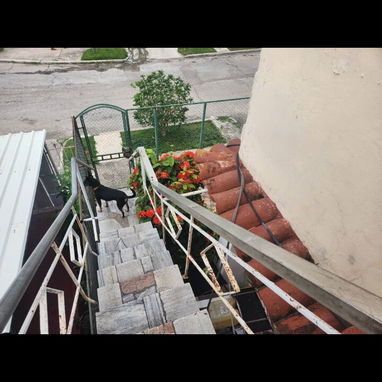 🏠 Playa, La Ceiba - Img 117630251