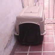 Huacal mediano para perros - Img 58239615