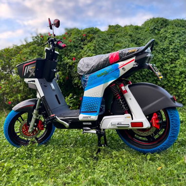 BICIMOTO TOPMAQ EVOLUTION - 2/3