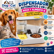 Dispensador de Agua y Alimento para perros y gatos - Img 57905850