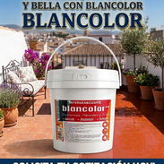 Impermeabilizante Rojo , Vinil Blanco 52849470 - Img 58418541