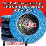 Disco Flap - Img 45155727