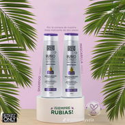 CHAMPÚ 350ML + MASCARILLA 350ML, BLONDZ ONLY MATIZ RUBIO CENIZO ARGAN - Img 52514481