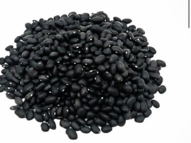 Vendo quintal de frijoles negros importados - Img 62770350
