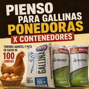CONTENEDOR DE SACOS DE PIENSO PARA GALLINAS PONEDORAS - Img 56157545