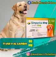 Simparica de todos los pesos - Img 49807713