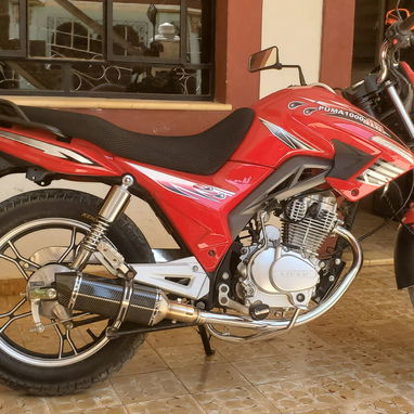 Moto puma - 4/6