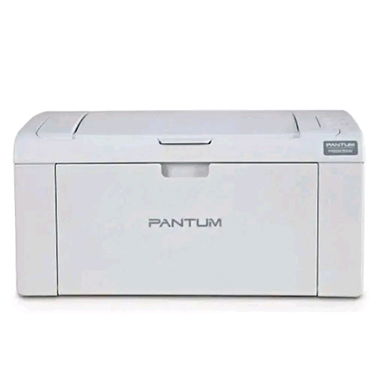 Impresora Monocromática Láser P2509W - 2/2
