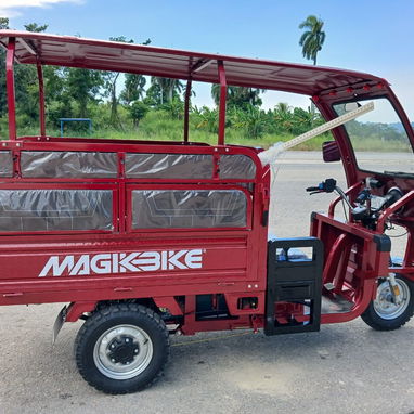Triciclo Eléctrico de Carga y pasajeros con Techo 72v 58 Ah Batería Gel 56463361 - 8/10