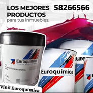 Pintura vinil euroquimica 15 litros antimoho ATM 🏧 blanco coco importadas de España en nuestro almacén en playa - Img 55217357