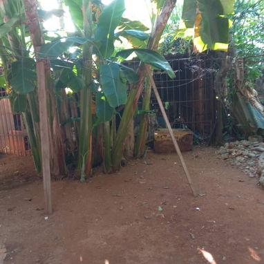 Apartamento en bajo 3/4 - 6/10
