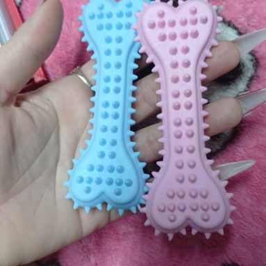 Productos para mascotas - 5/10