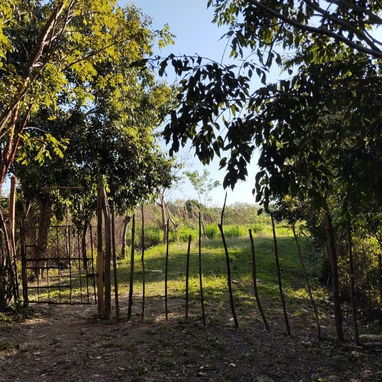 Finca en la zona de la UCI. - Img 125936947