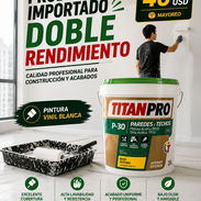 Pintura - Img 55741828