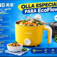Olla Especial para ECOFLOW - Img 58202359