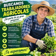 Oferta laboral - Img 57373072