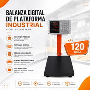BALANZA DIGITAL DE PLATAFORMA - Img 55422830