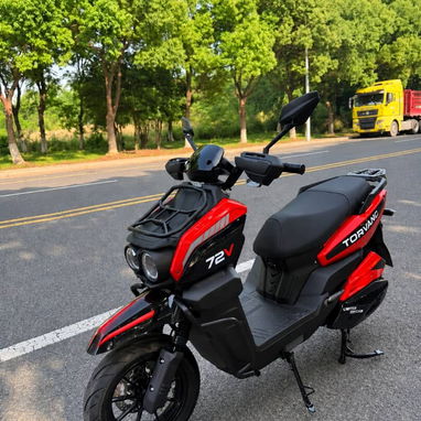 Moto eléctrica torvan - 2/4