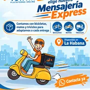 Mensajería express - Img 57796128