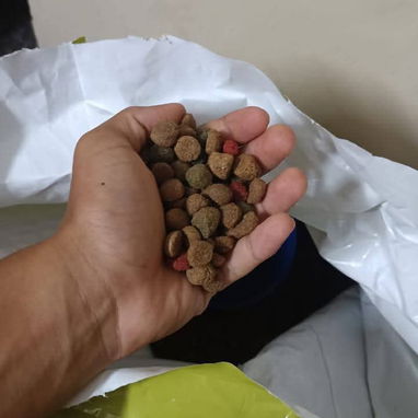 Pienso para perros adultos - Img 124795889