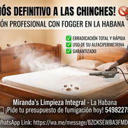 🚨 ¡ADIÓS A LAS PLAGAS! SERVICIO PROFESIONAL GARANTIZADO POR MIPYME 🚨 ​ - Img 56897435
