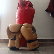 Saco de boxeo y guantes - Img 57956136
