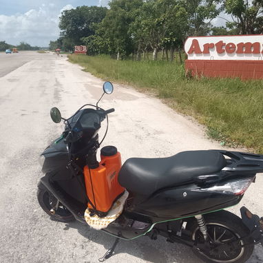 Servicio de Fumigación contra Chincha en toda La Habana - Img 124467777