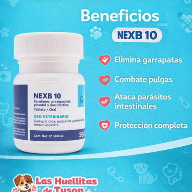veterinaria a domicilio - Img 122675825