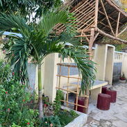 Playa piscina casa independiente Guanabo - Img 44021158