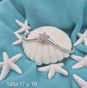 Pandoras de plata cifrado ALE s925 - Img 49228332