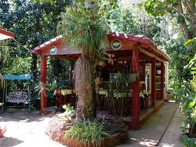 Casa en VIÑALES. Jardín botánico 🌴 - Img main-image-45853056