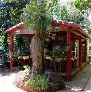 Casa en VIÑALES. Jardín botánico 🌴 - Img 45853056